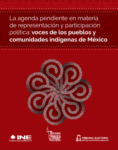 La agenda pendiente en materia de representación y participación política